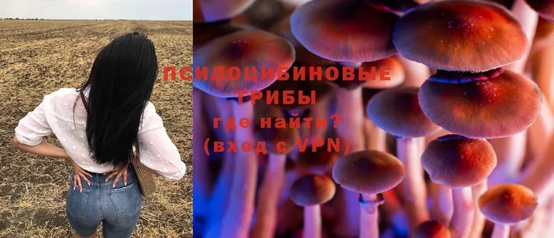 Псилоцибиновые грибы Magic Shrooms  blacksprut вход  Пыталово 